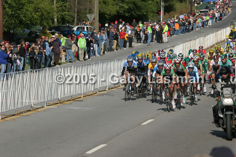 ©2005 - Gaby Lastman